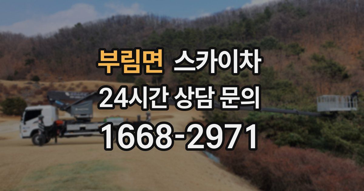 부림면 스카이차