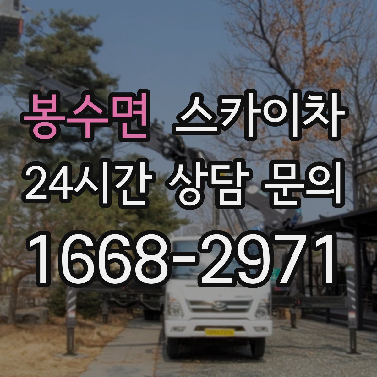 봉수면 스카이차