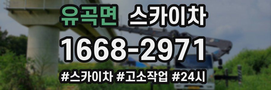 유곡면 스카이차