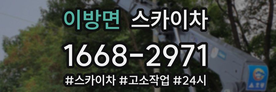 이방면 스카이차