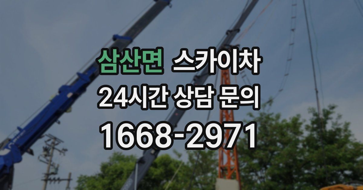 삼산면 스카이차
