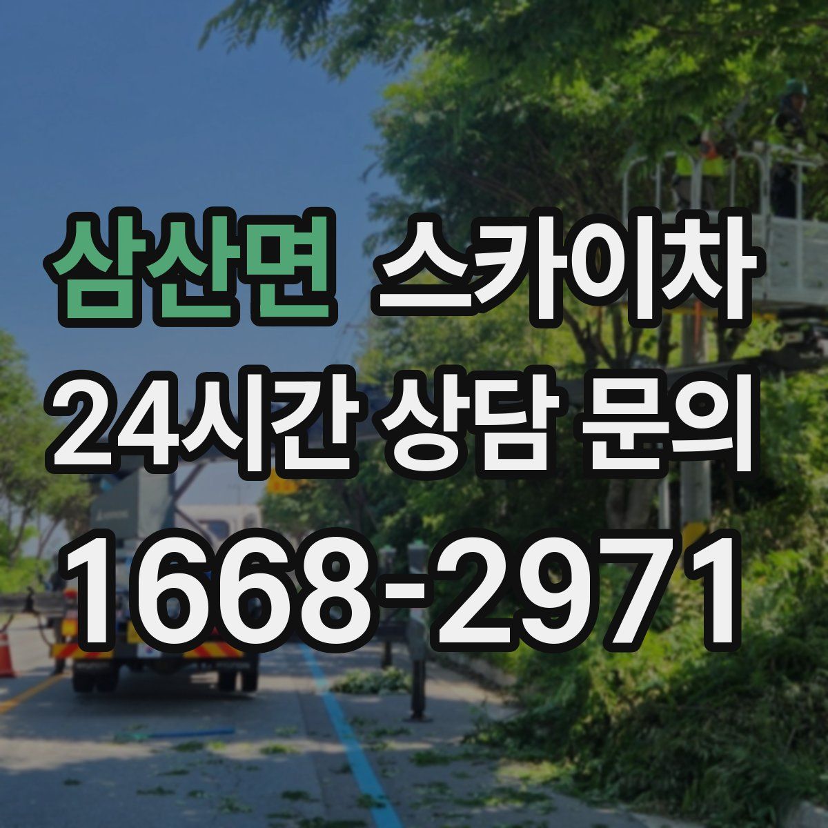 삼산면 스카이차