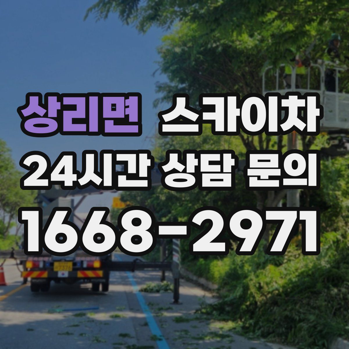 상리면 스카이차