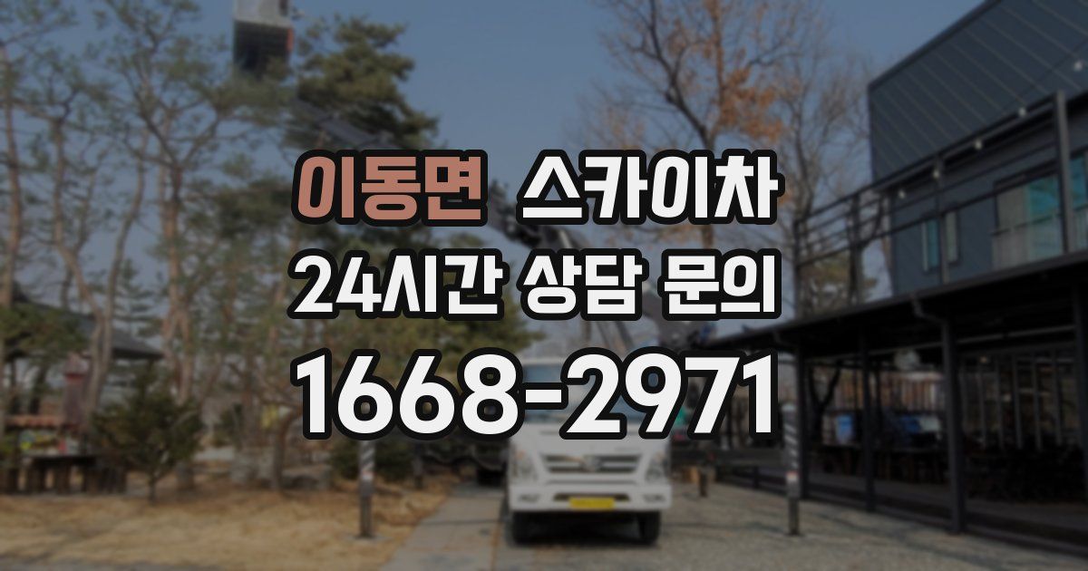 이동면 스카이차