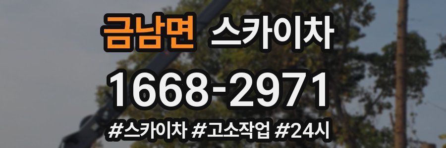 금남면 스카이차