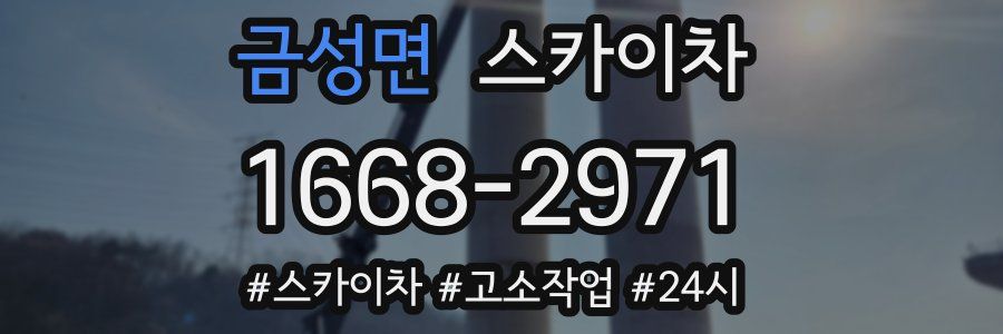 금성면 스카이차