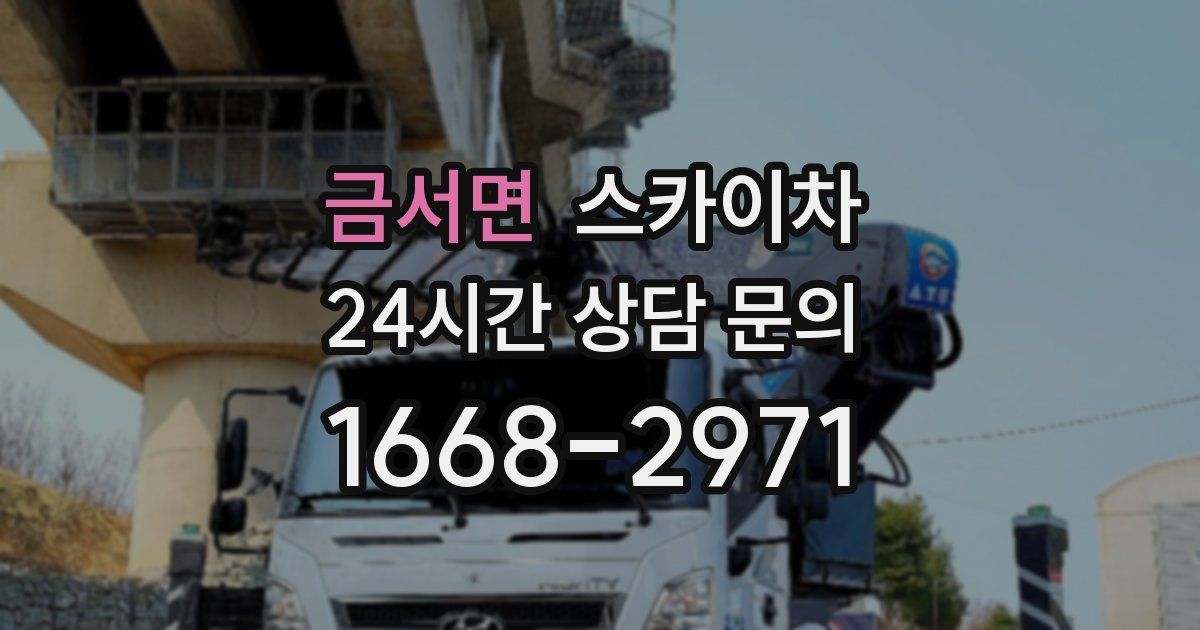 금서면 스카이차