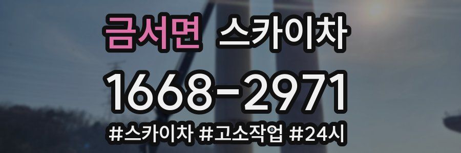 금서면 스카이차