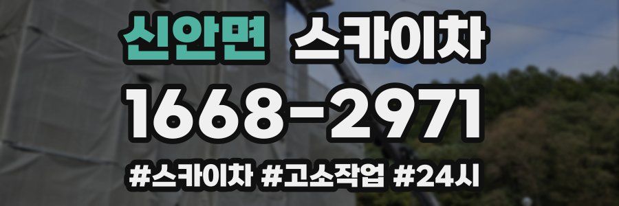 신안면 스카이차