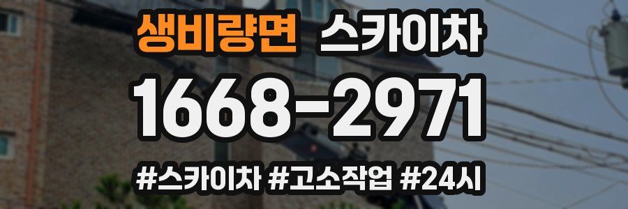 생비량면 스카이차