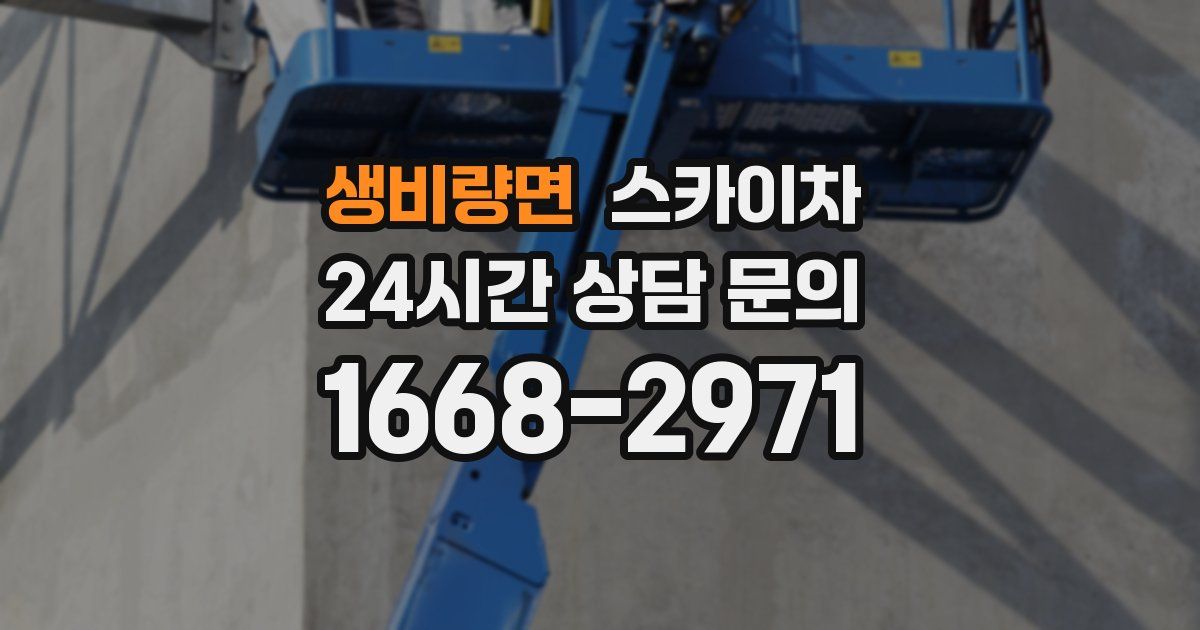 생비량면 스카이차