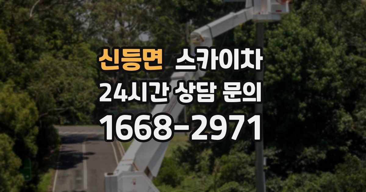 신등면 스카이차