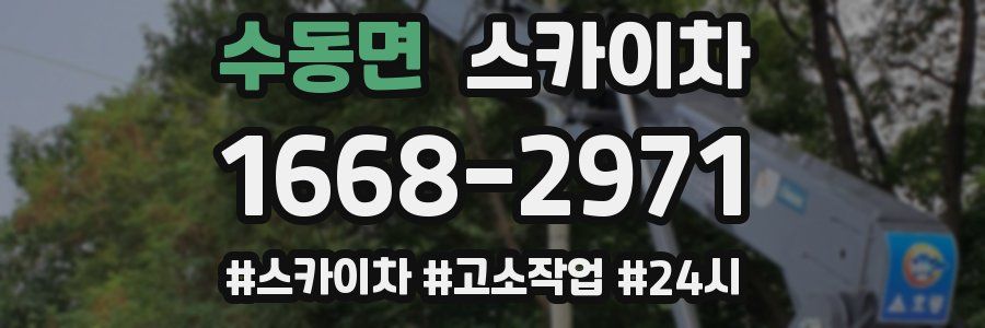 수동면 스카이차