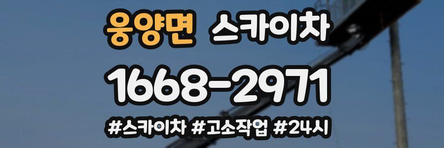 웅양면 스카이차