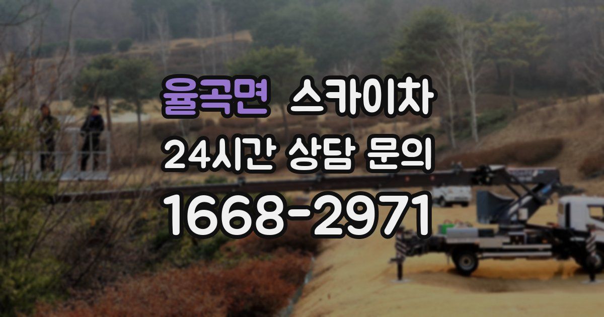 율곡면 스카이차