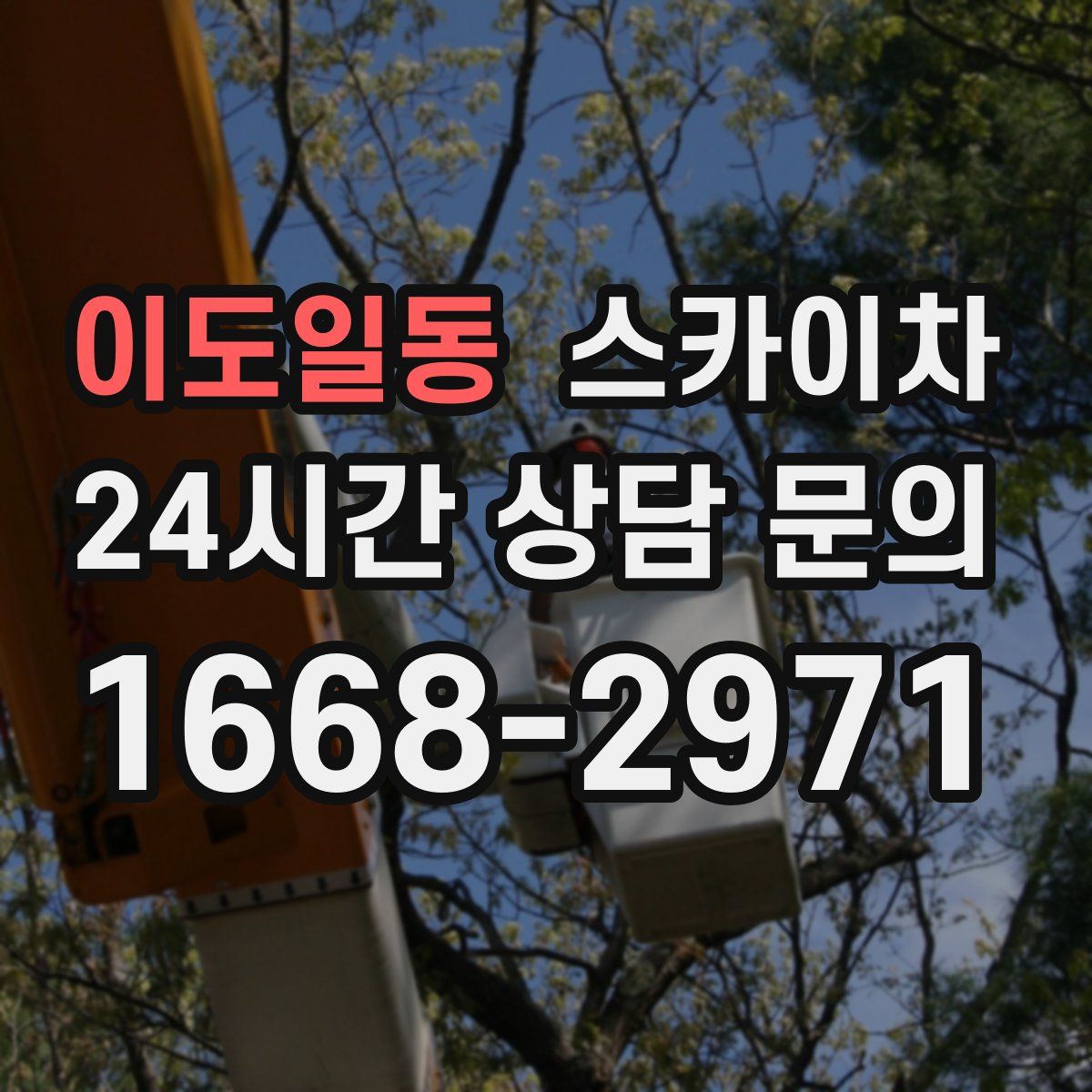 이도일동 스카이차