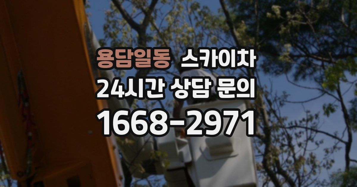 용담일동 스카이차