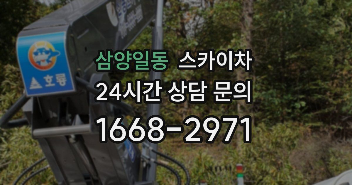 삼양일동 스카이차