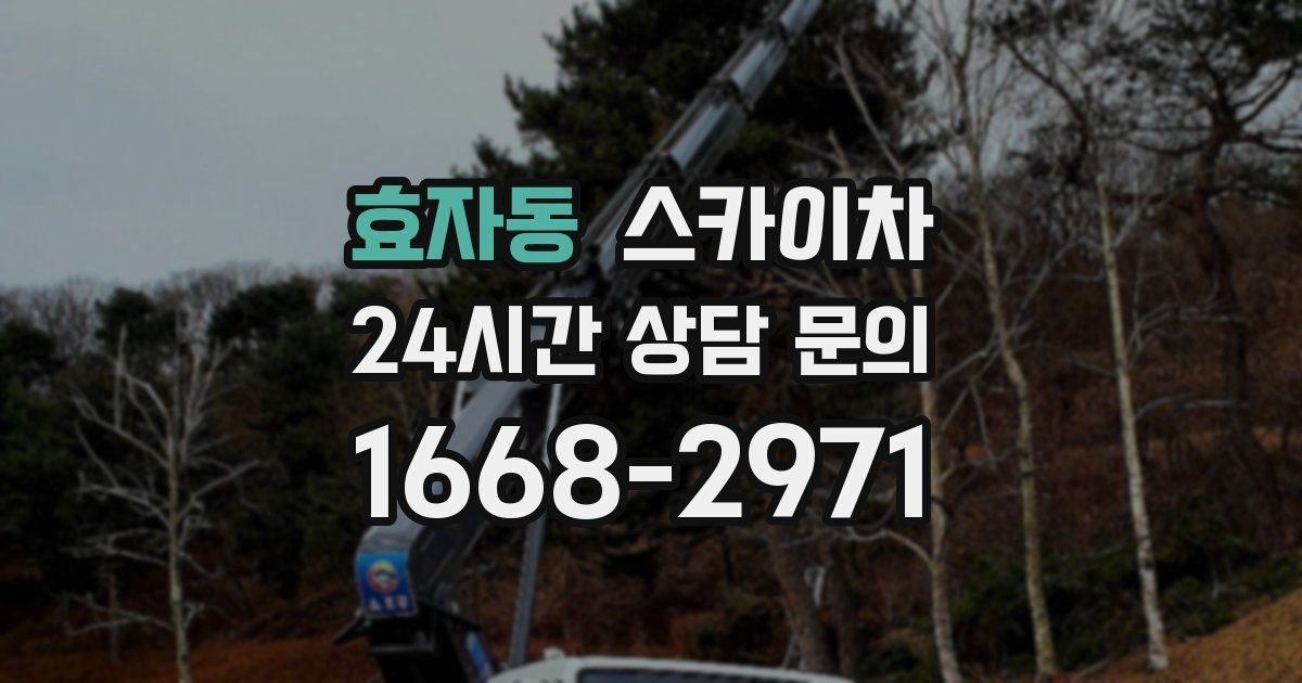 효자동 스카이차