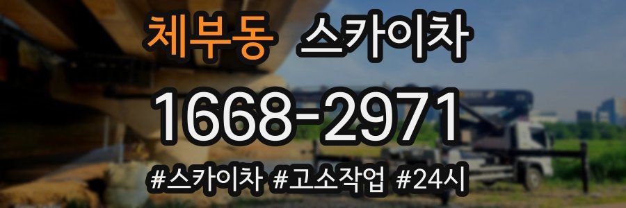 체부동 스카이차