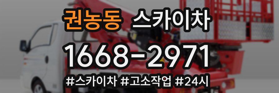 권농동 스카이차