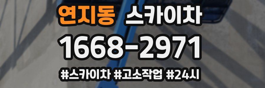 연지동 스카이차