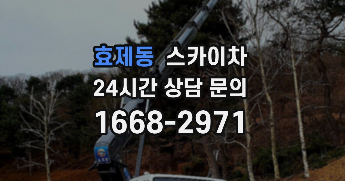 효제동 스카이차