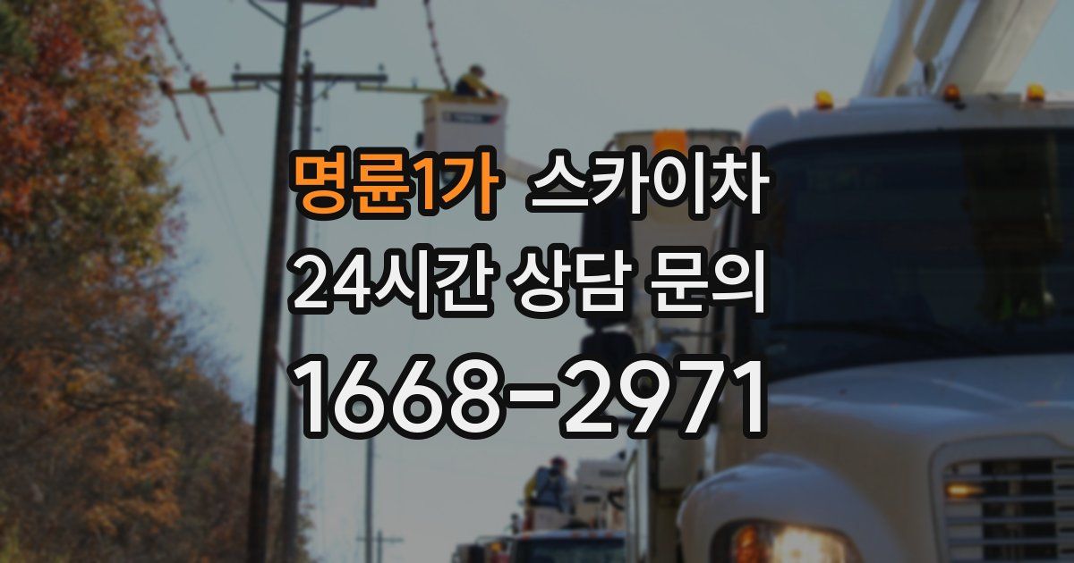 명륜1가 스카이차