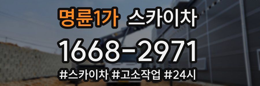 명륜1가 스카이차