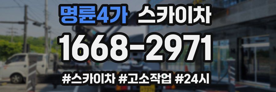 명륜4가 스카이차