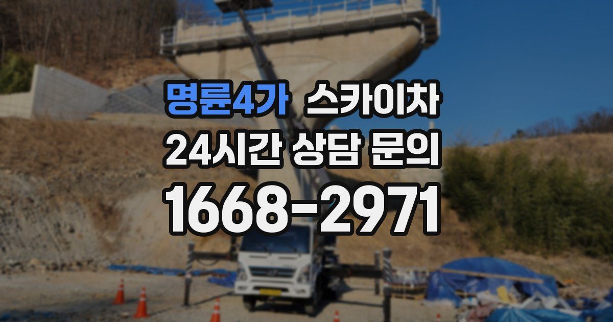 명륜4가 스카이차