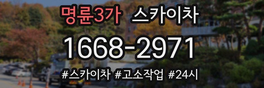 명륜3가 스카이차