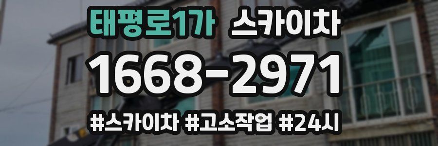 태평로1가 스카이차