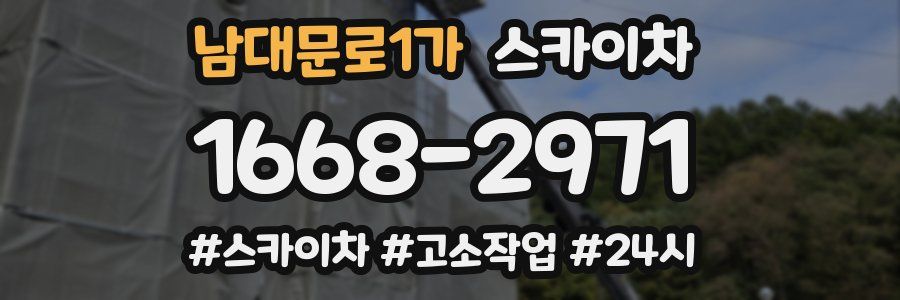 남대문로1가 스카이차