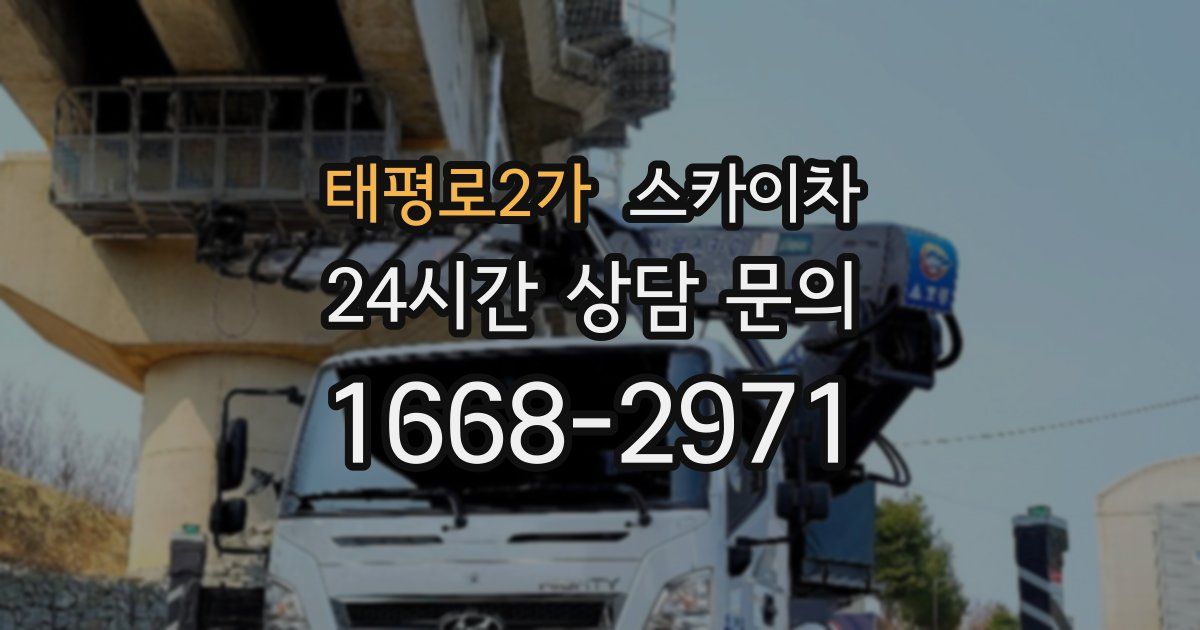 태평로2가 스카이차