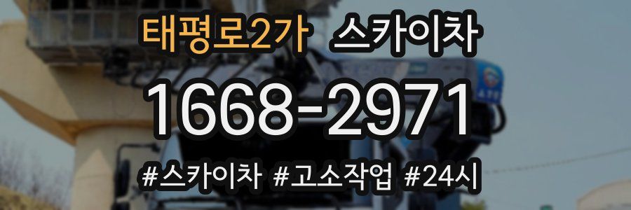 태평로2가 스카이차