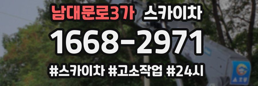 남대문로3가 스카이차