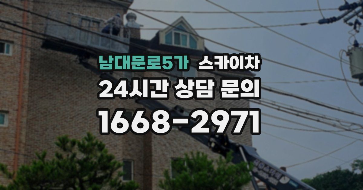 남대문로5가 스카이차