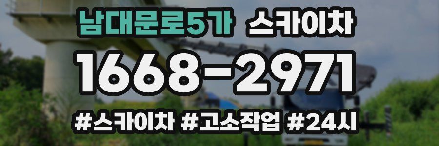 남대문로5가 스카이차