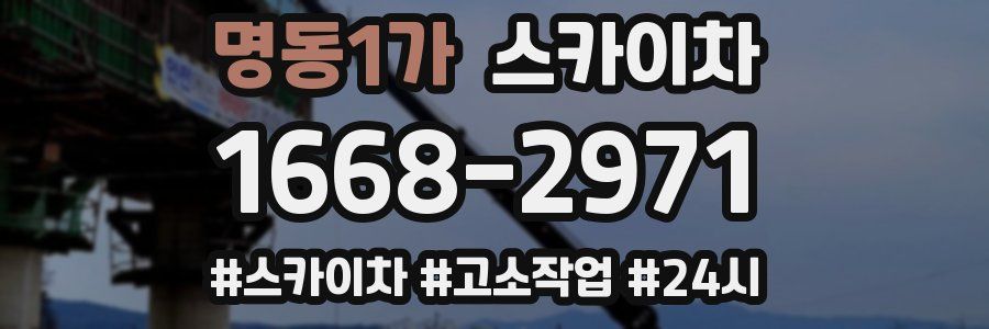 명동1가 스카이차