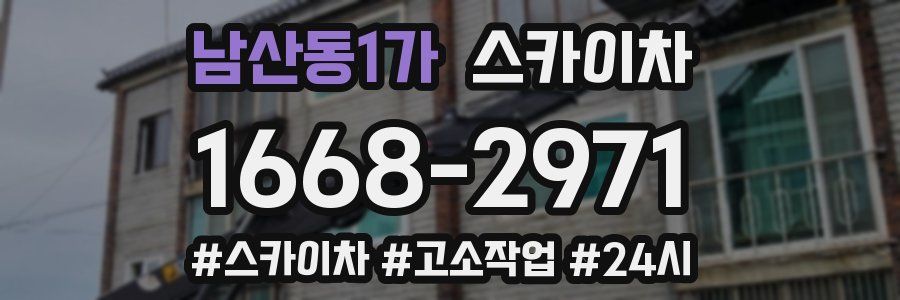 남산동1가 스카이차