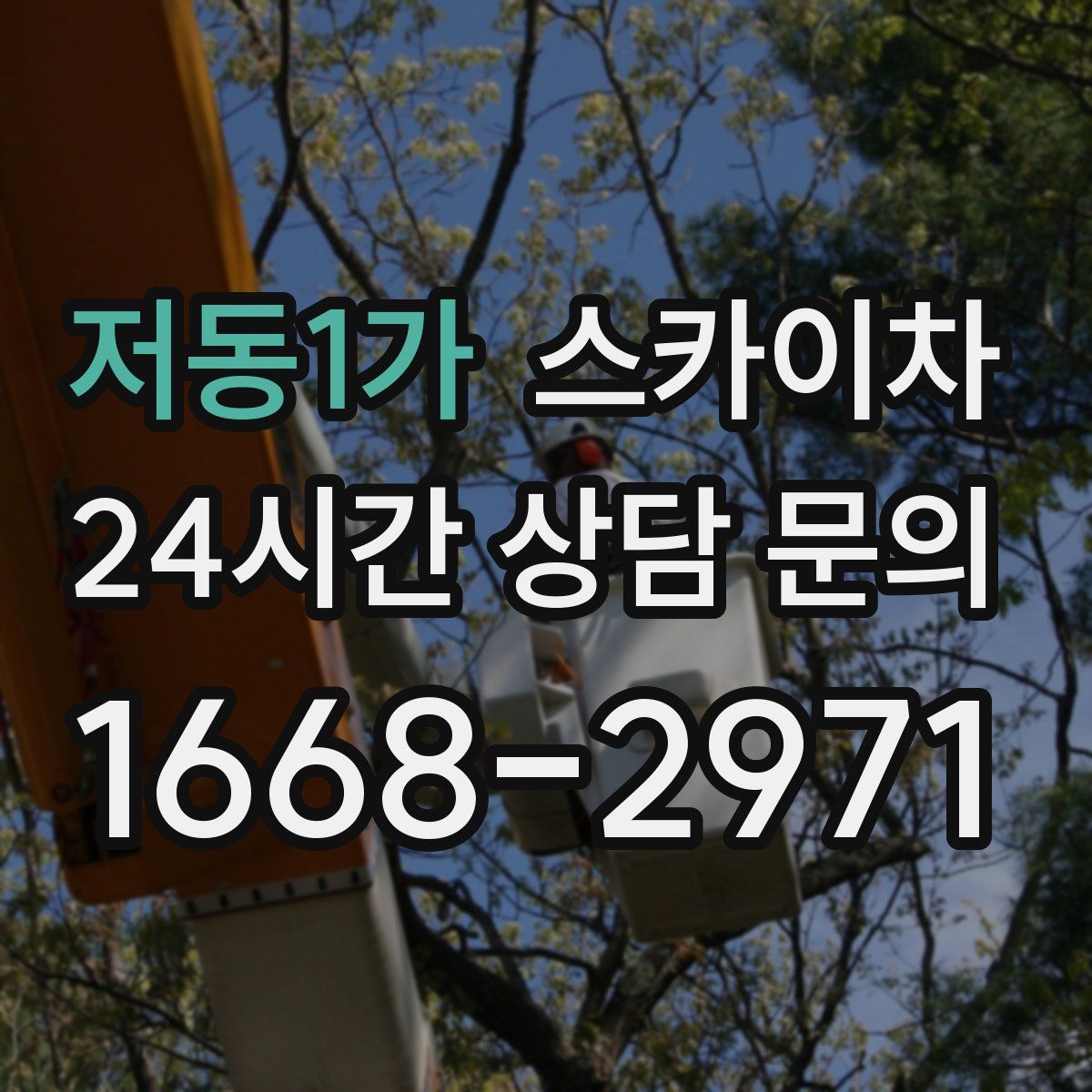 저동1가 스카이차