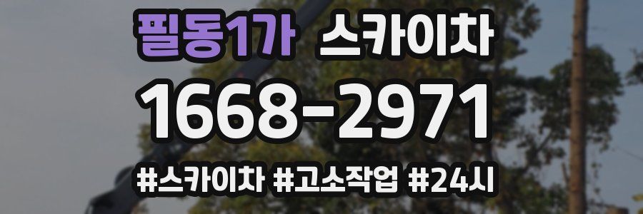 필동1가 스카이차