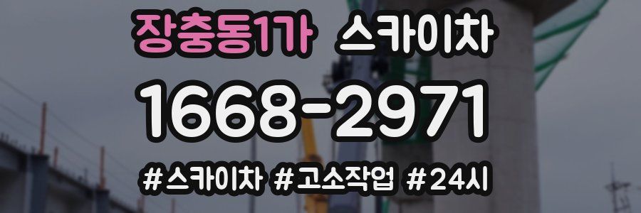 장충동1가 스카이차