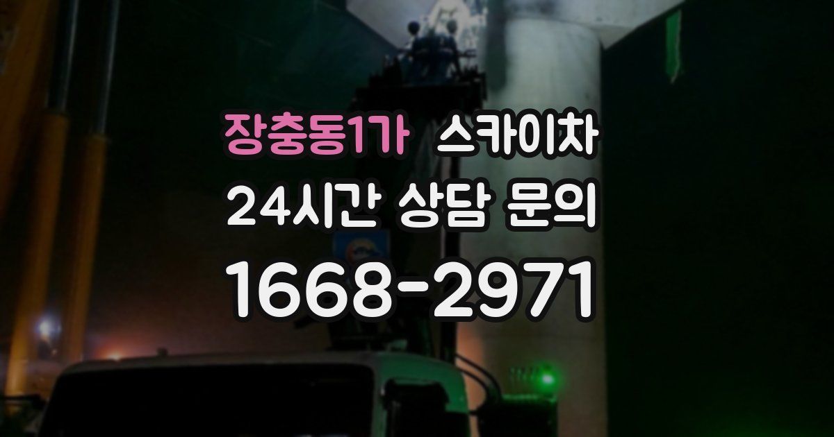 장충동1가 스카이차