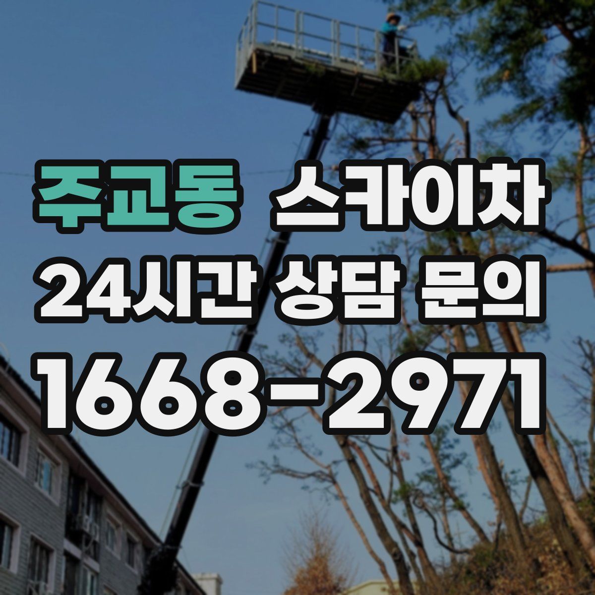 주교동 스카이차