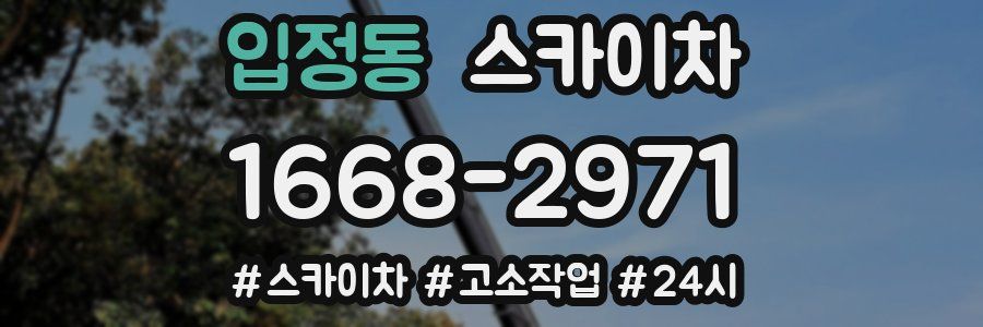 입정동 스카이차
