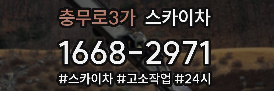 충무로3가 스카이차