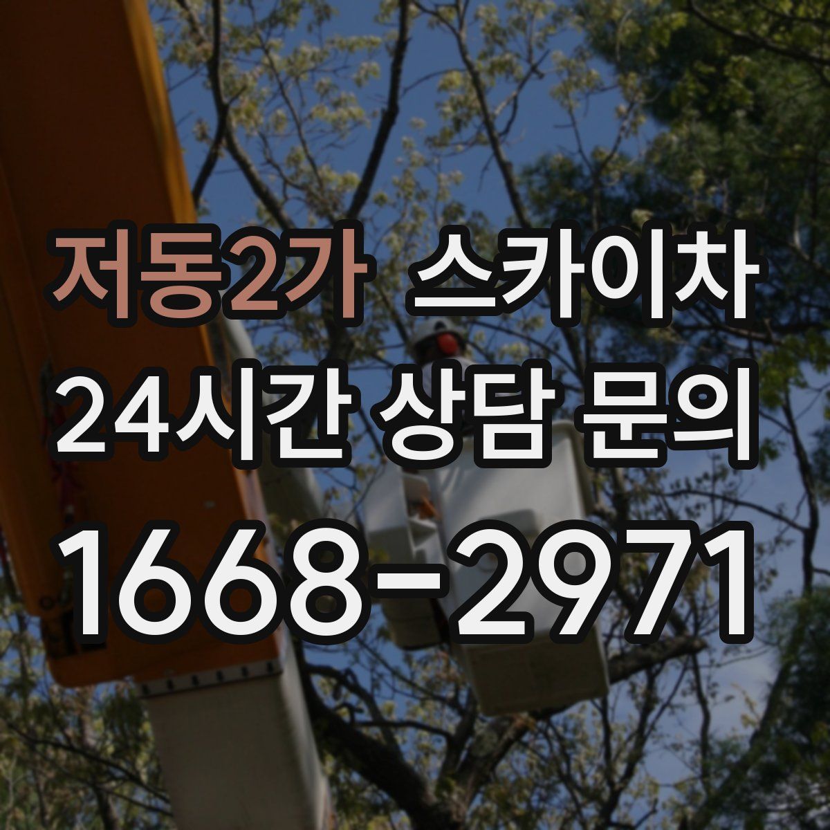 저동2가 스카이차