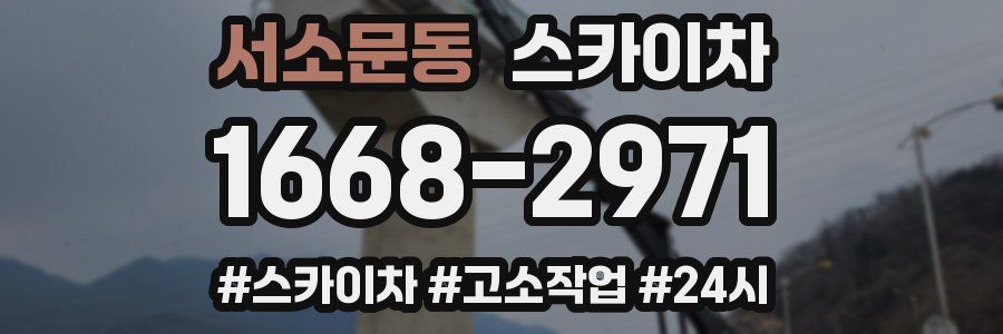 서소문동 스카이차